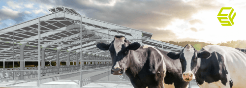 CSF X-CALIBR™ wintering barns
